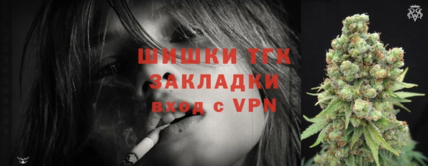 твердый Кодинск