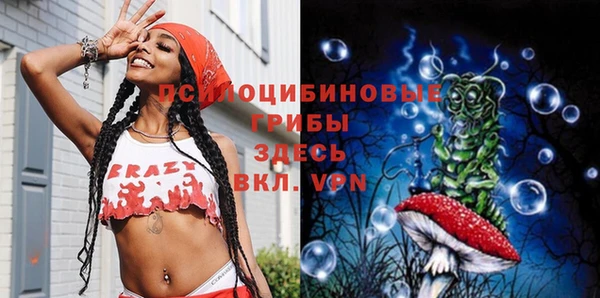 твердый Кодинск