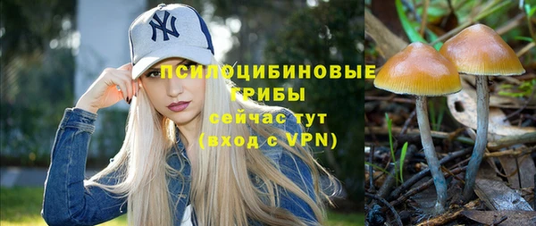 твердый Кодинск